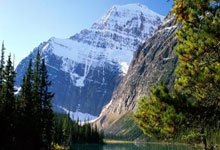 尤文图斯签下青年才俊，球迷期待他的表现的简单介绍